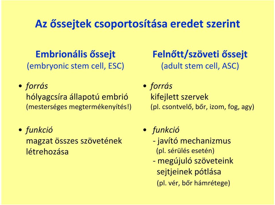 ) funkció magzat összes szövetének létrehozása Felnőtt/szöveti őssejt (adult stem cell, ASC) forrás