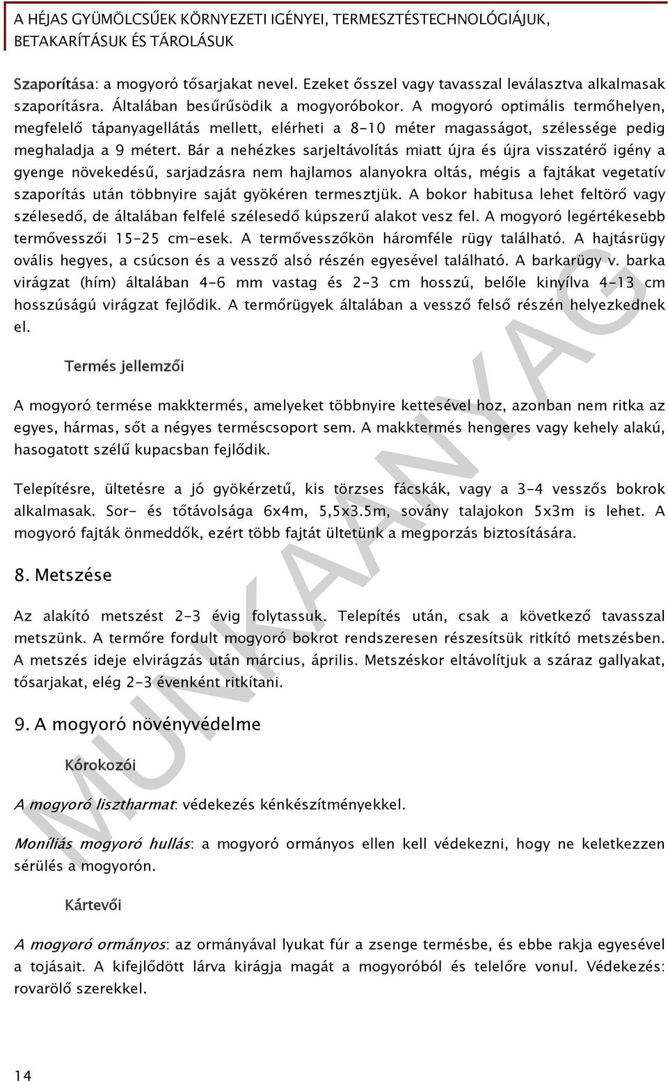 Bár a nehézkes sarjeltávolítás miatt újra és újra visszatérő igény a gyenge növekedésű, sarjadzásra nem hajlamos alanyokra oltás, mégis a fajtákat vegetatív szaporítás után többnyire saját gyökéren