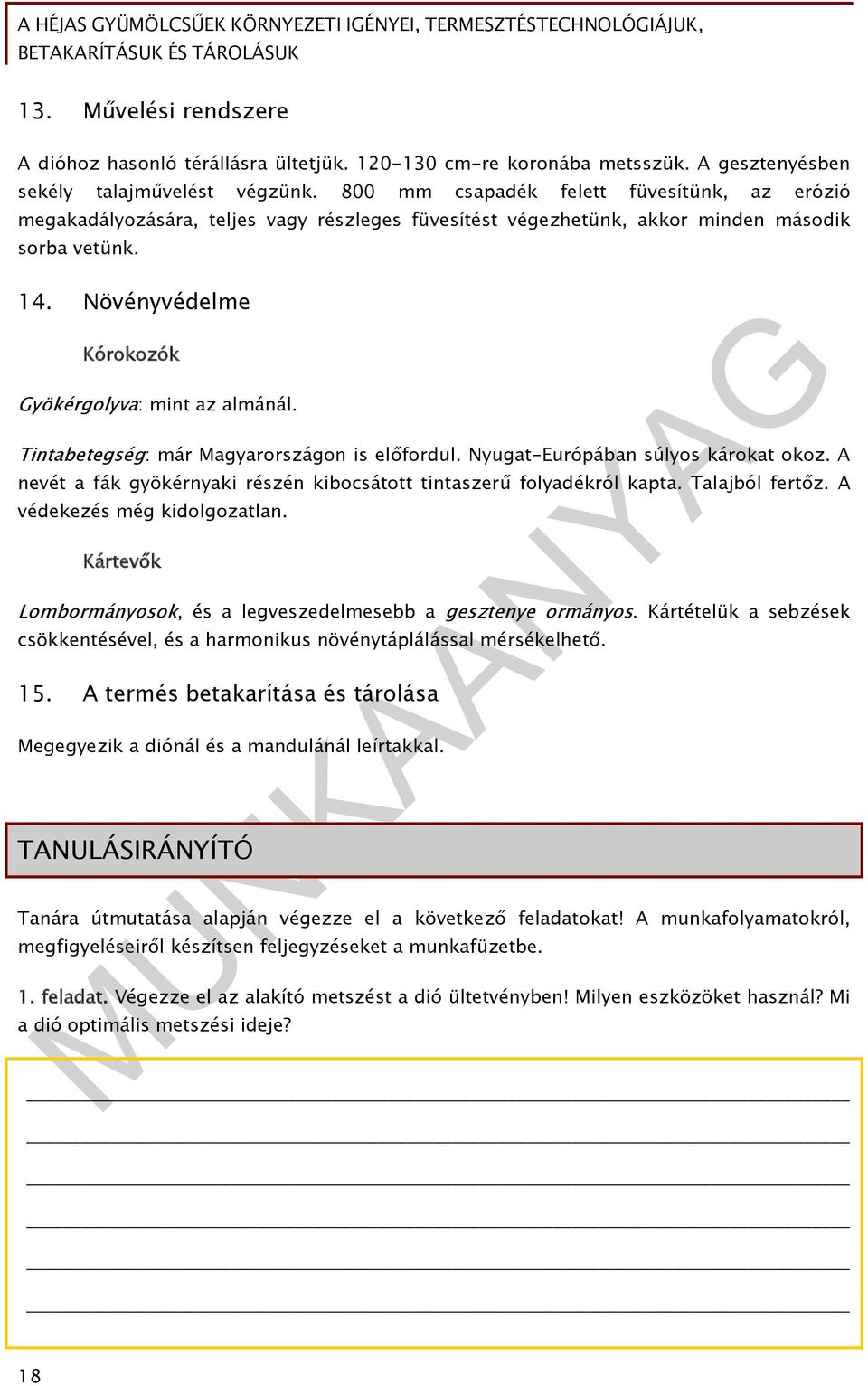 Növényvédelme Kórokozók Gyökérgolyva: mint az almánál. Tintabetegség: már Magyarországon is előfordul. Nyugat-Európában súlyos károkat okoz.