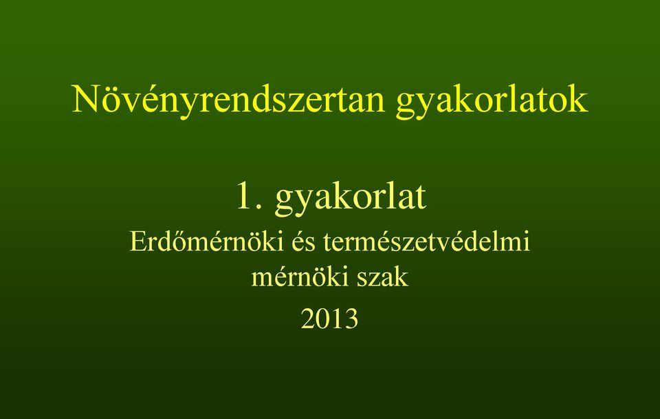 gyakorlat Erdőmérnöki