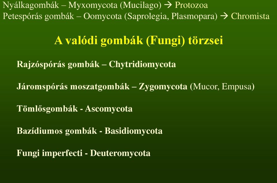 gombák Chytridiomycota Járomspórás moszatgombák Zygomycota (Mucor, Empusa)