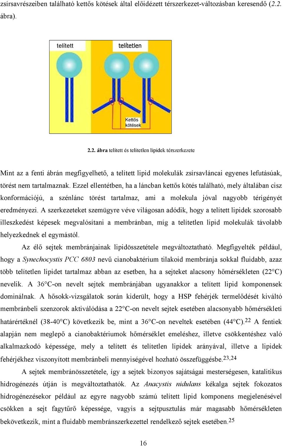 Ezzel ellentétben, ha a láncban kettős kötés található, mely általában cisz konformációjú, a szénlánc törést tartalmaz, ami a molekula jóval nagyobb térigényét eredményezi.