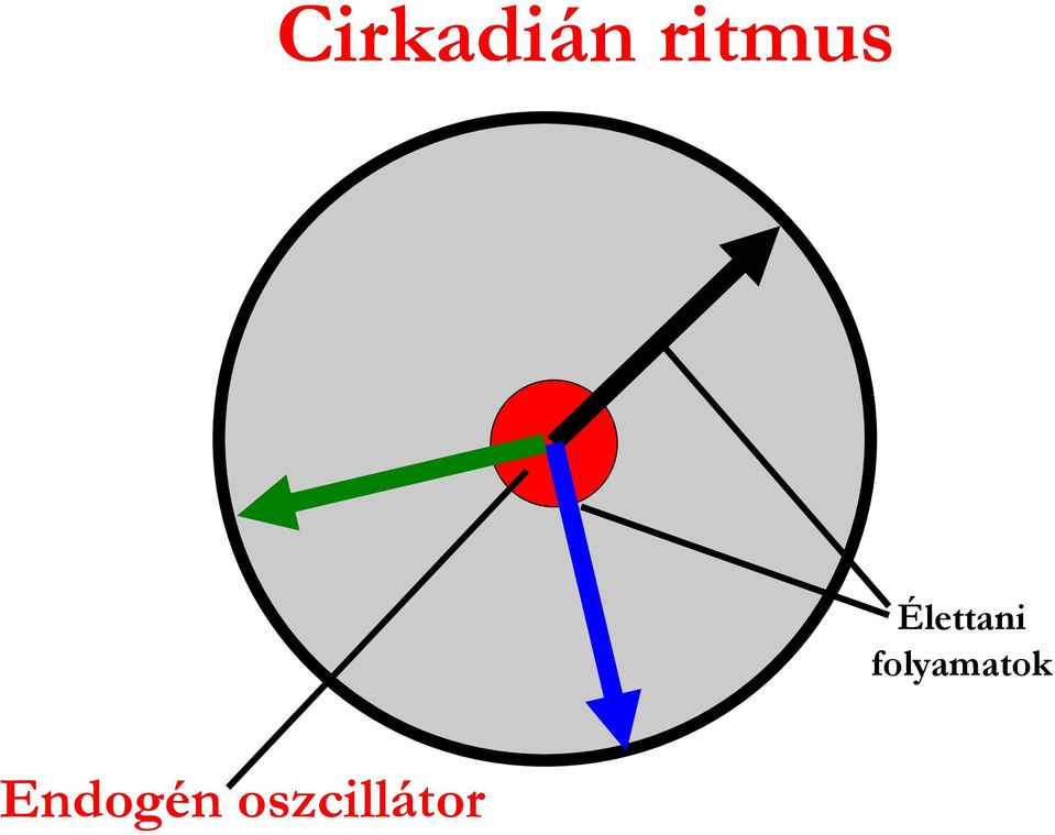 Élettani