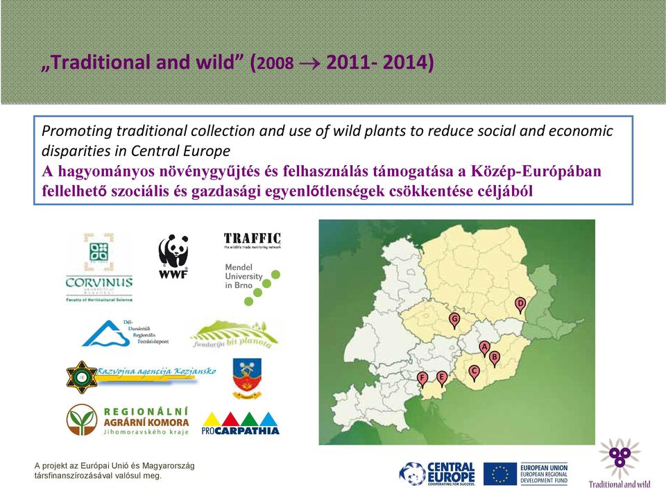 in Central Europe A hagyományos 9 partner növénygyűjtés intézmény és felhasználás