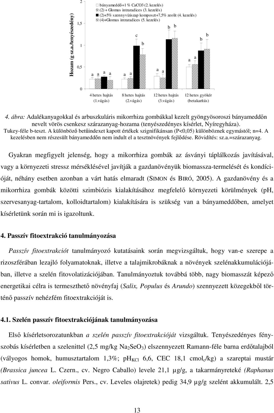 ábra: Adalékanyagokkal és arbuszkuláris mikorrhiza gombákkal kezelt gyöngyösoroszi bányameddőn nevelt vörös csenkesz szárazanyag-hozama (tenyészedényes kísérlet, Nyíregyháza). Tukey-féle b-teszt.