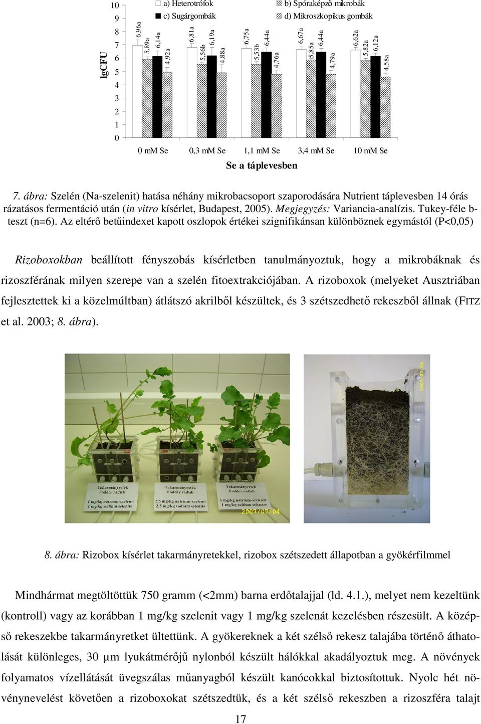 ábra: Szelén (Na-szelenit) hatása néhány mikrobacsoport szaporodására Nutrient táplevesben 14 órás rázatásos fermentáció után (in vitro kísérlet, Budapest, 2005). Megjegyzés: Variancia-analízis.