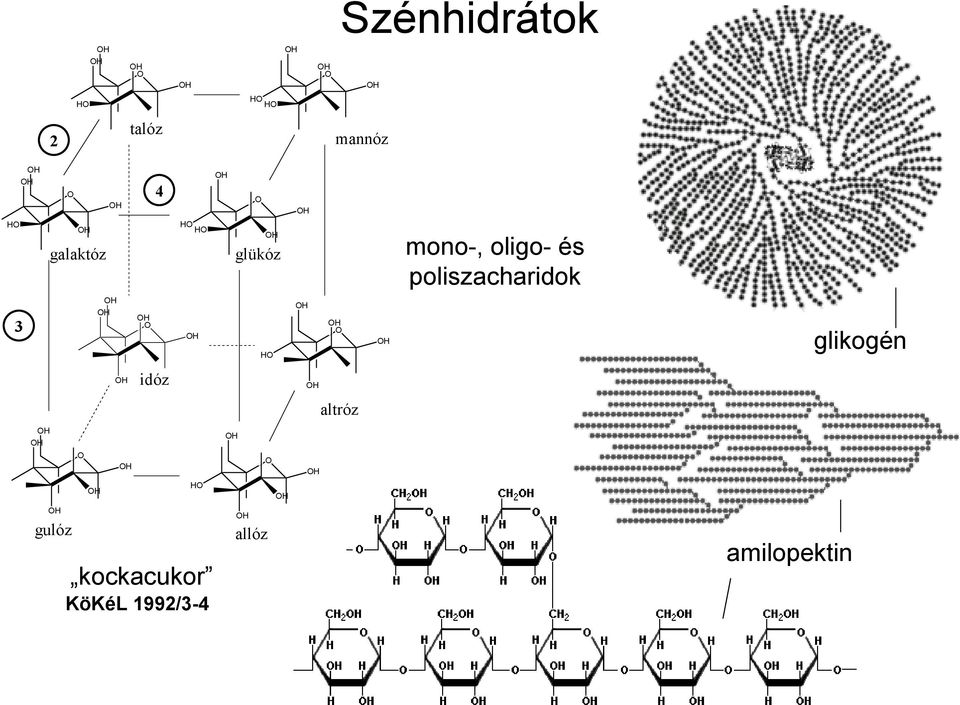 idóz mono-, oligo- és poliszacharidok