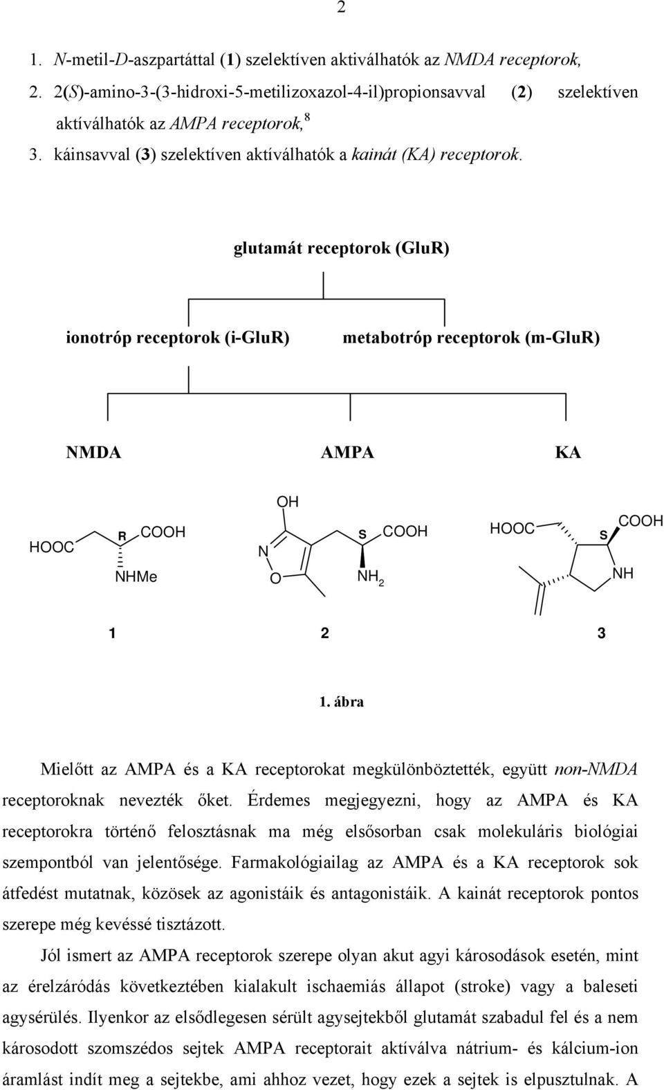 glutamát receptorok (GluR) ionotróp receptorok (i-glur) metabotróp receptorok (m-glur) MDA AMPA KA HC CH H CH HC R S S HMe H H 2 CH 1 2 3 1.