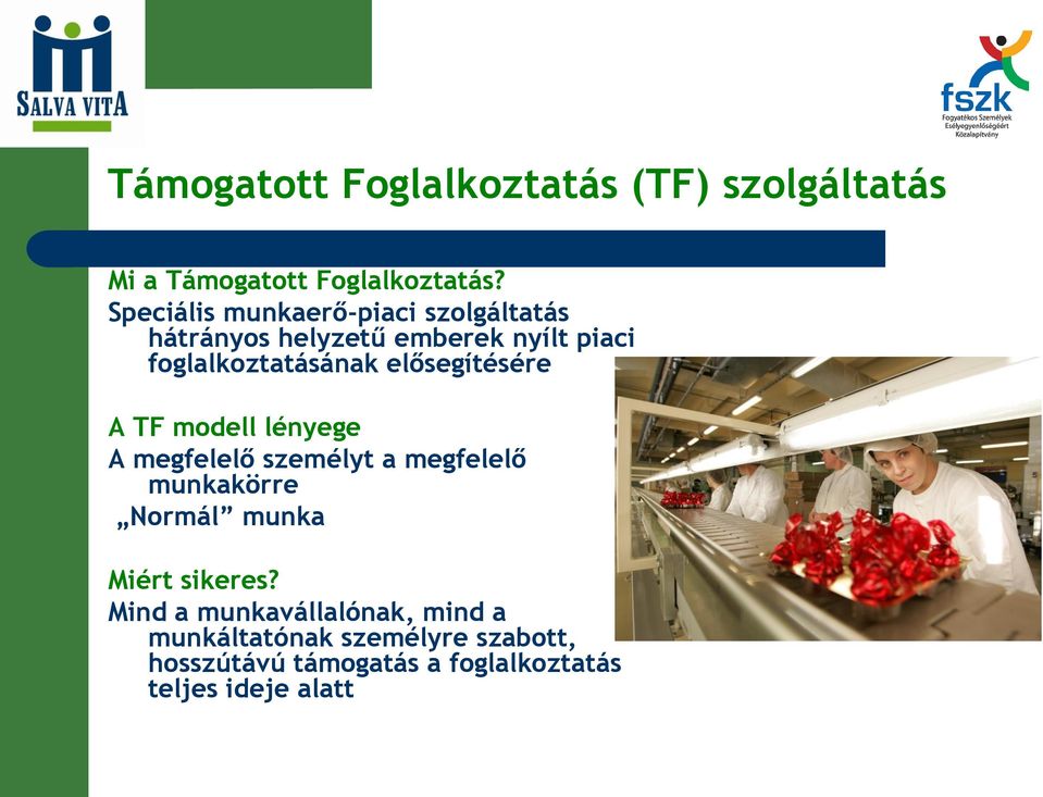 elősegítésére A TF modell lényege A megfelelő személyt a megfelelő munkakörre Normál munka Miért