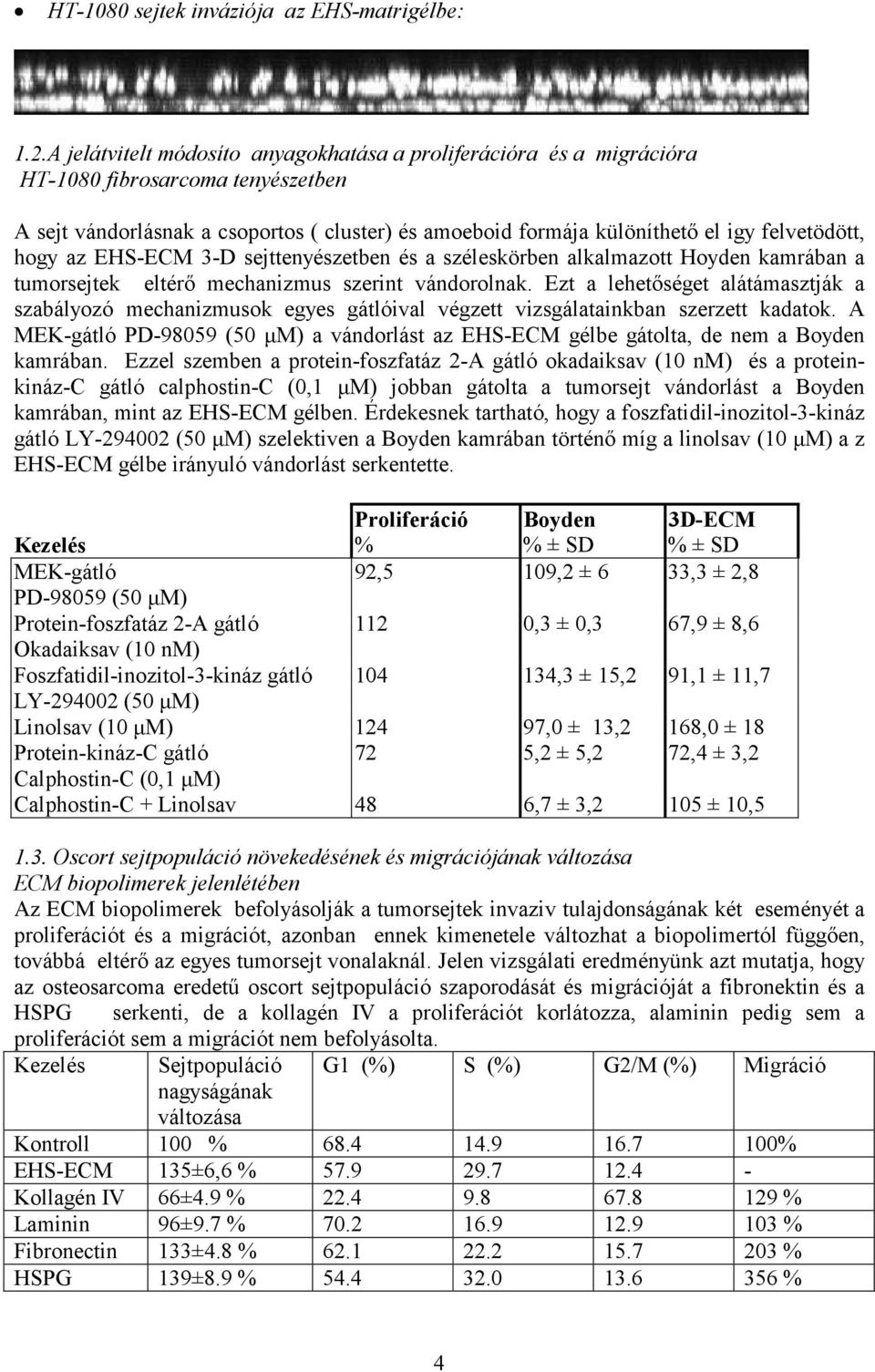 hogy az EHS-ECM 3-D sejttenyészetben és a széleskörben alkalmazott Hoyden kamrában a tumorsejtek eltérő mechanizmus szerint vándorolnak.