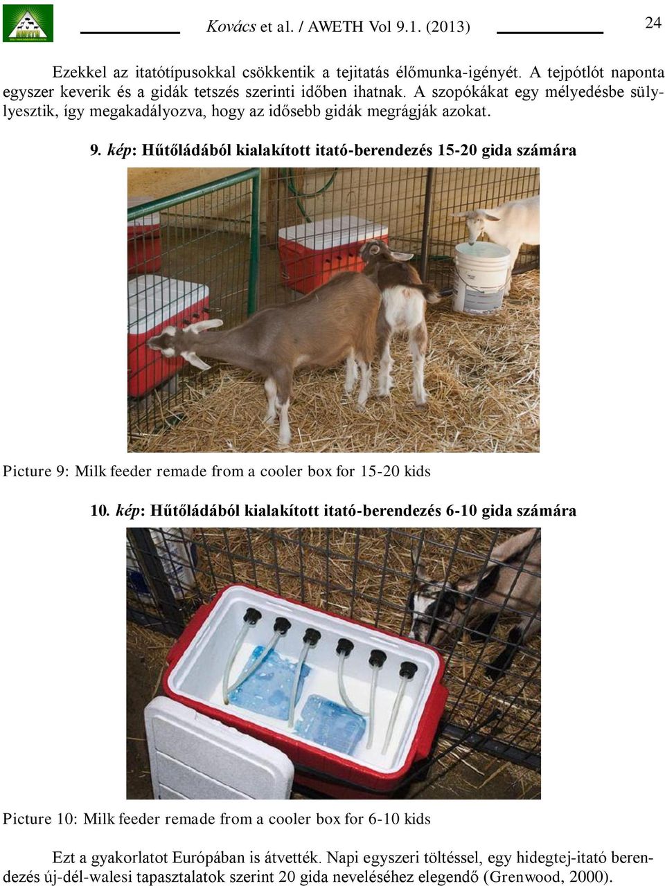 kép: Hűtőládából kialakított itató-berendezés 15-20 gida számára Picture 9: Milk feeder remade from a cooler box for 15-20 kids 10.