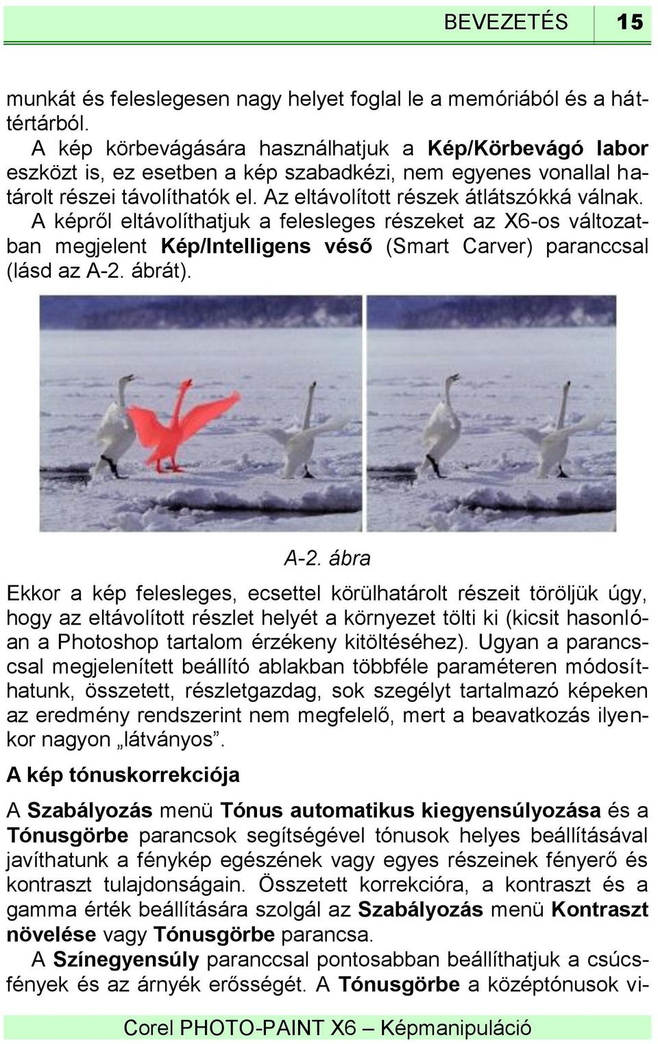 A képről eltávolíthatjuk a felesleges részeket az X6-os változatban megjelent Kép/Intelligens véső (Smart Carver) paranccsal (lásd az A-2.