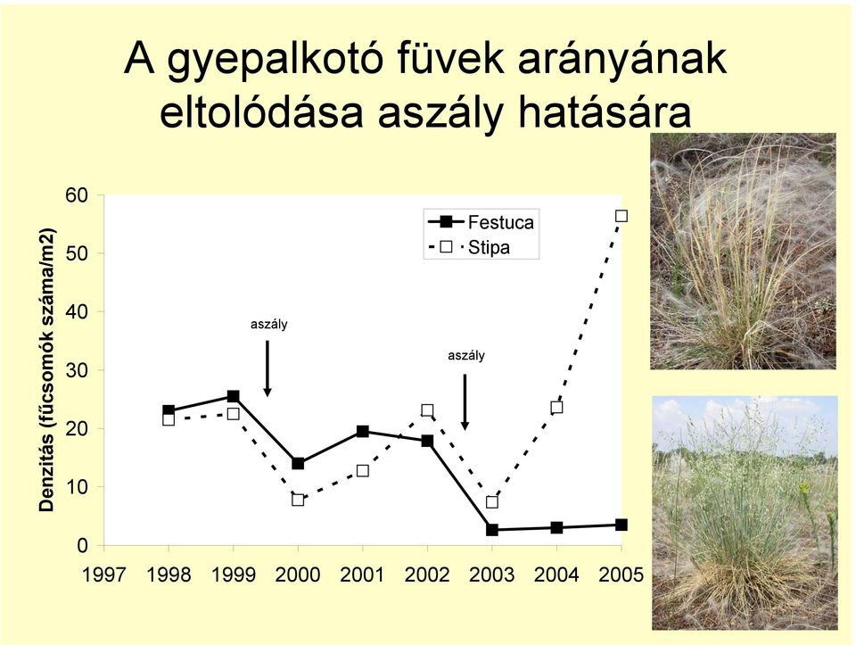 száma/m2) 50 40 30 20 10 aszály Festuca