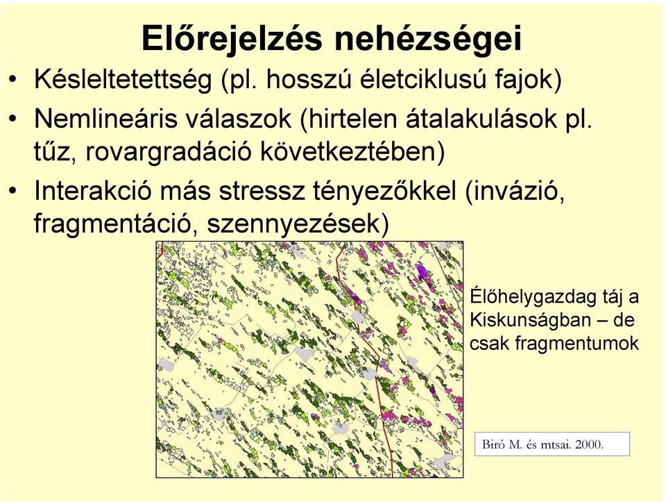 tűz, rovargradáció következtében) Interakció más stressz tényezőkkel