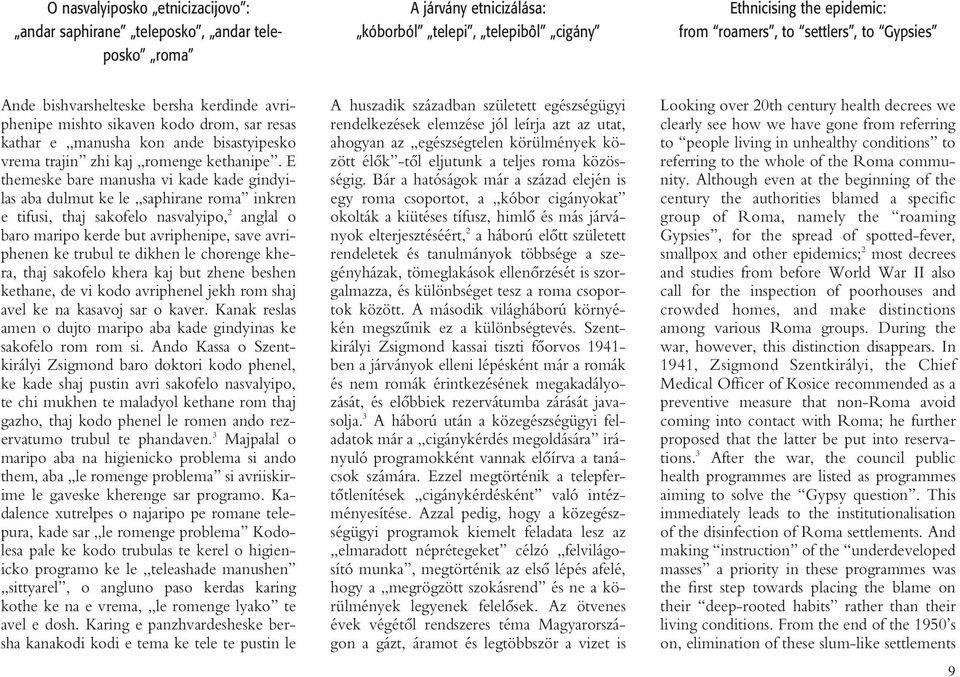 E themeske bare manusha vi kade kade gindyilas aba dulmut ke le saphirane roma inkren e tifusi, thaj sakofelo nasvalyipo, 2 anglal o baro maripo kerde but avriphenipe, save avri - phenen ke trubul te