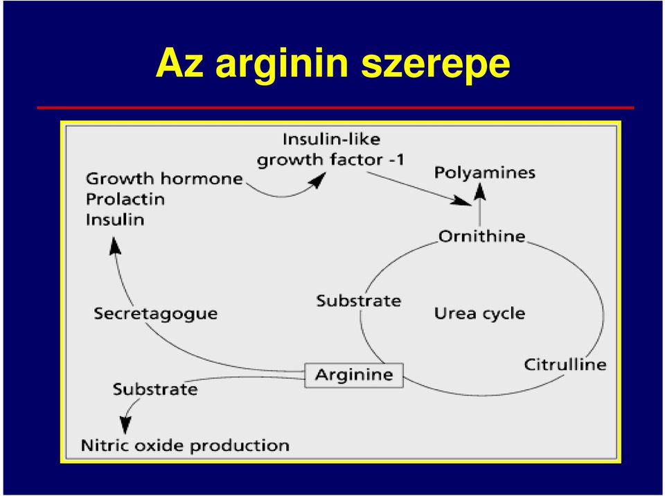 szerepe