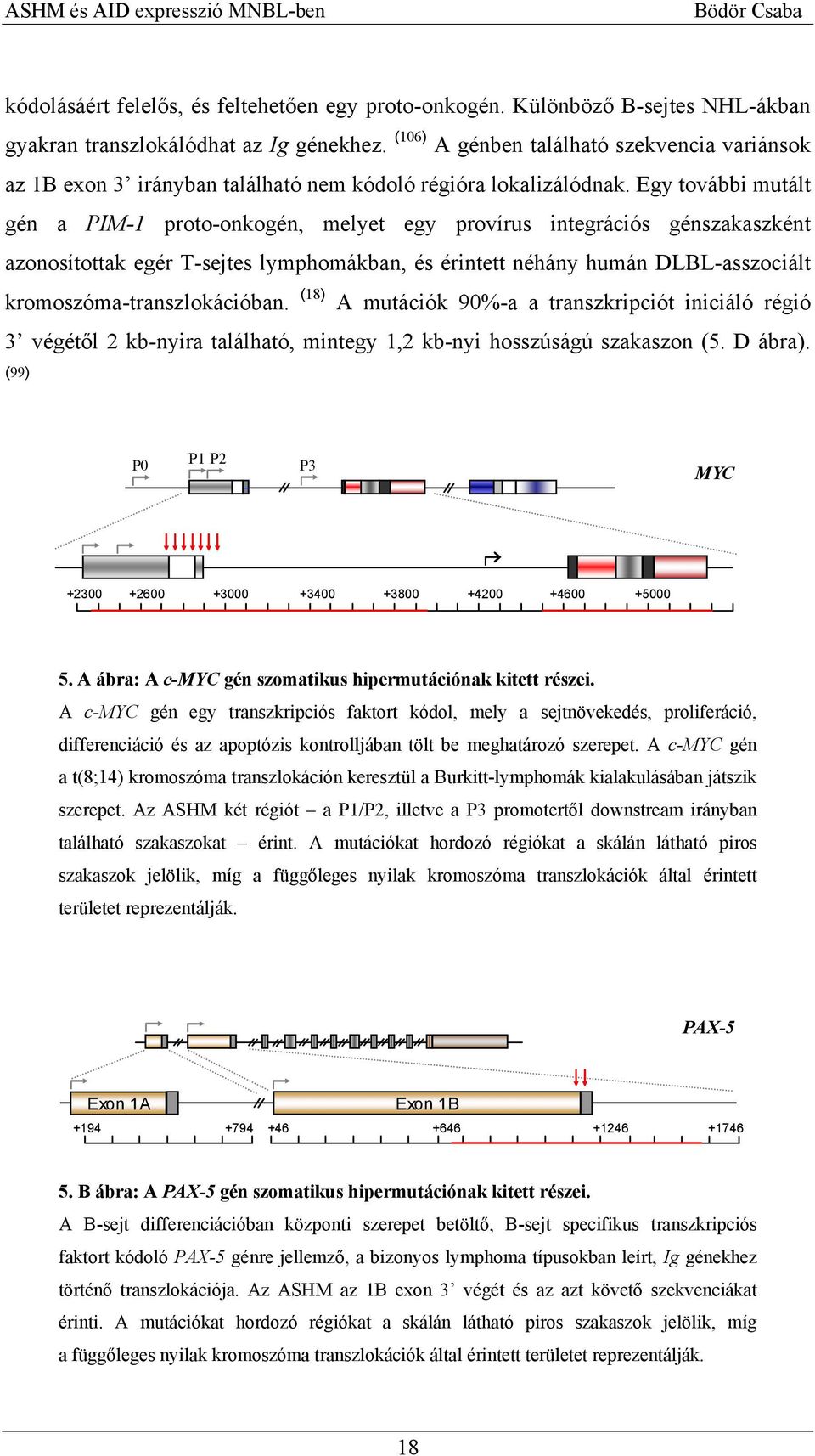 Egy további mutált gén a PIM-1 proto-onkogén, melyet egy provírus integrációs génszakaszként azonosítottak egér T-sejtes lymphomákban, és érintett néhány humán DLBL-asszociált
