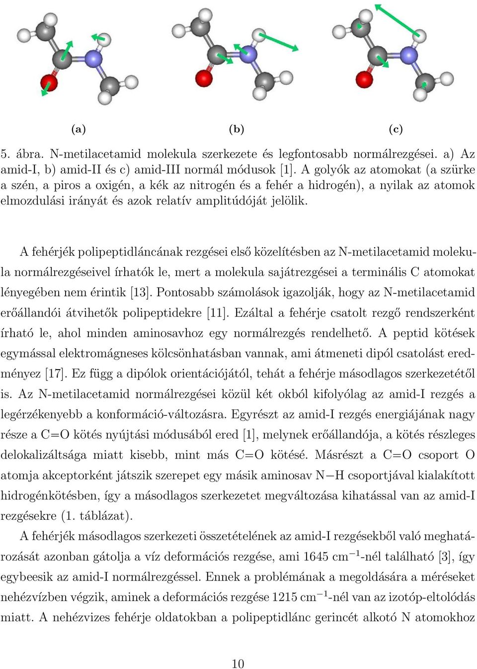 A fehérjék polipeptidláncának rezgései első közelítésben az N-metilacetamid molekula normálrezgéseivel írhatók le, mert a molekula sajátrezgései a terminális C atomokat lényegében nem érintik [13].