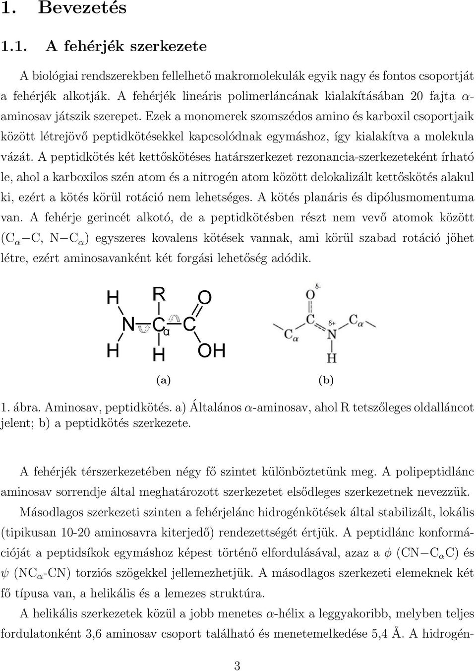 Ezek a monomerek szomszédos amino és karboxil csoportjaik között létrejövő peptidkötésekkel kapcsolódnak egymáshoz, így kialakítva a molekula vázát.