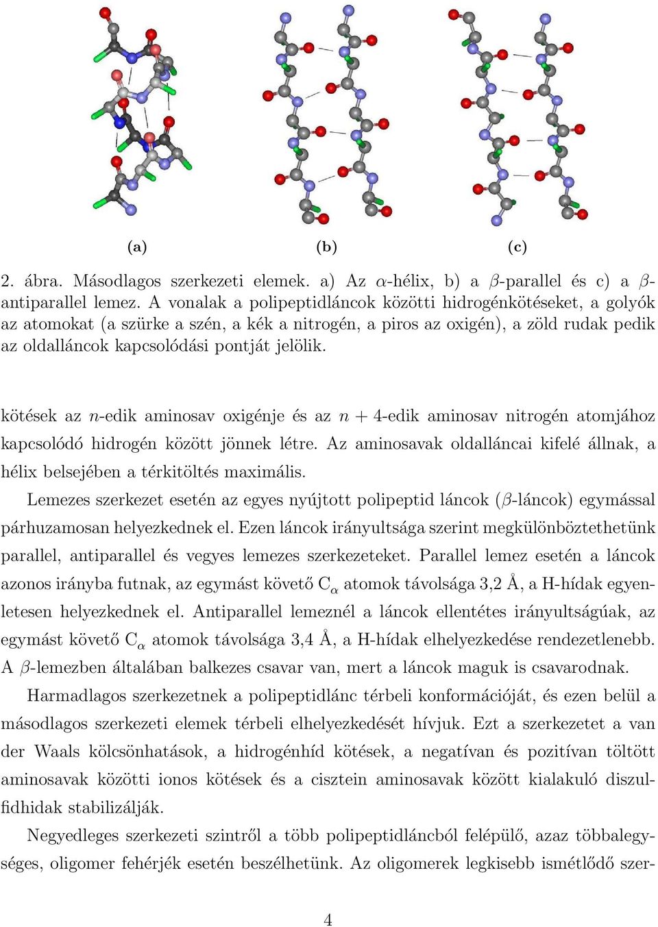 kötések az n-edik aminosav oxigénje és az n + 4-edik aminosav nitrogén atomjához kapcsolódó hidrogén között jönnek létre.