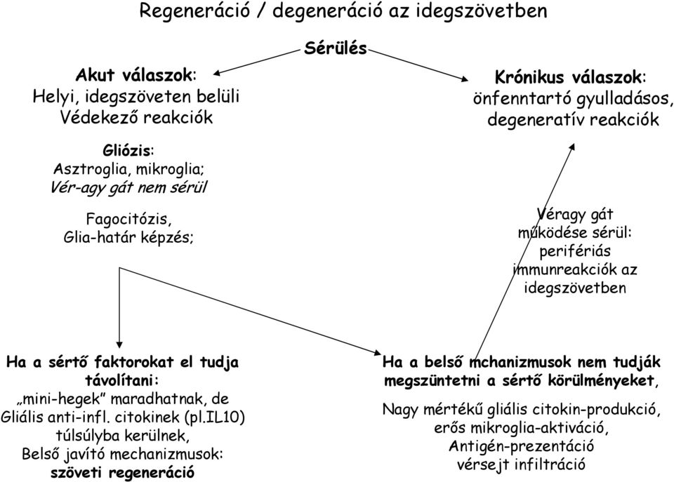 sértı faktorokat el tudja távolítani: mini-hegek maradhatnak, de Gliális anti-infl. citokinek (pl.