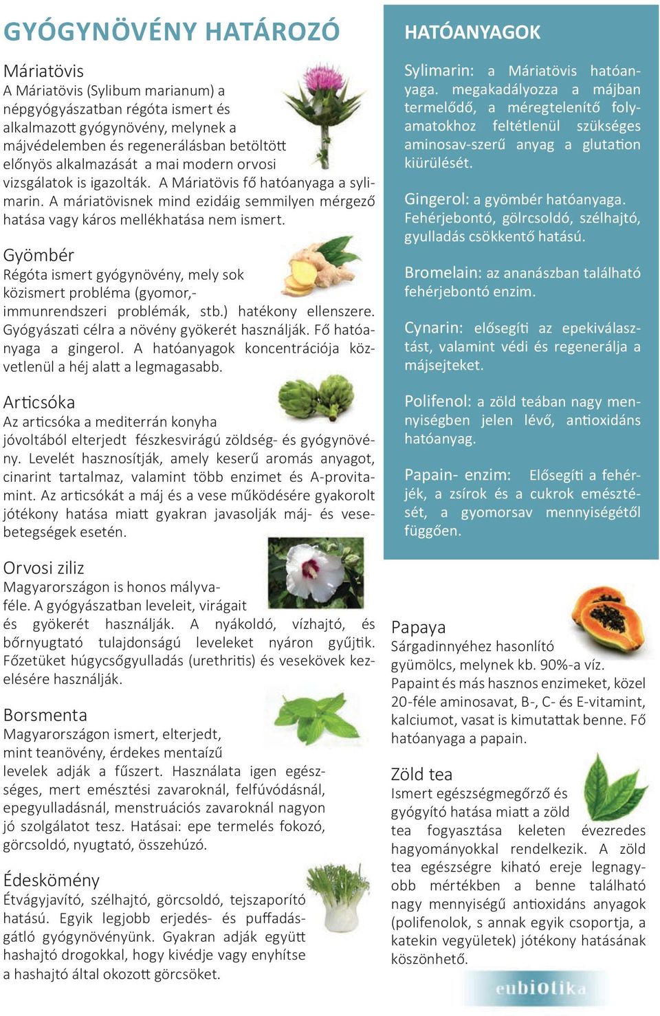 Gyömbér Régóta ismert gyógynövény, mely sok közismert probléma (gyomor,- immunrendszeri problémák, stb.) hatékony ellenszere. Gyógyászati célra a növény gyökerét használják. Fő hatóanyaga a gingerol.