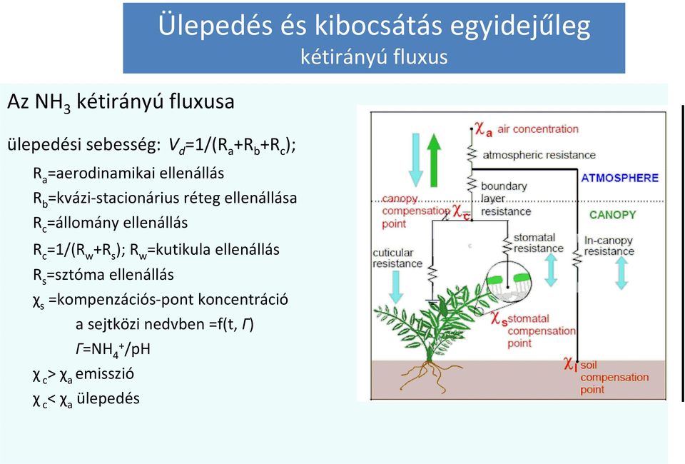 ellenállás R s =sztómaellenállás χ s =kompenzációs-pont koncentráció a sejtközi nedvben =f(t, Γ)