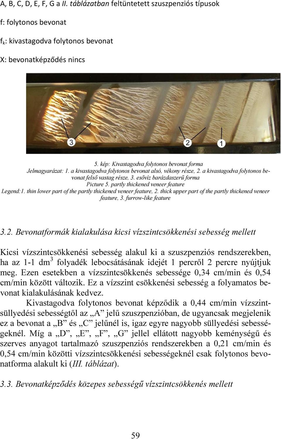 esővíz barázdaszerű forma Picture 5. partly thickened veneer feature Legend:1. thin lower part of the partly thickened veneer feature, 2. thick upper part of the partly thickened veneer feature, 3.