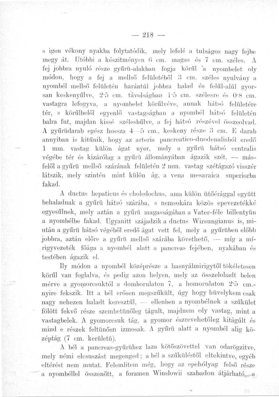 széles nyúlvány a nyombél mellső felületén harántul jobbra halad és felűl-alúl gyorsan keskenyűlve, 2'5 cm. távolságban 1'5 cm. szélesre és 0-8 cm.