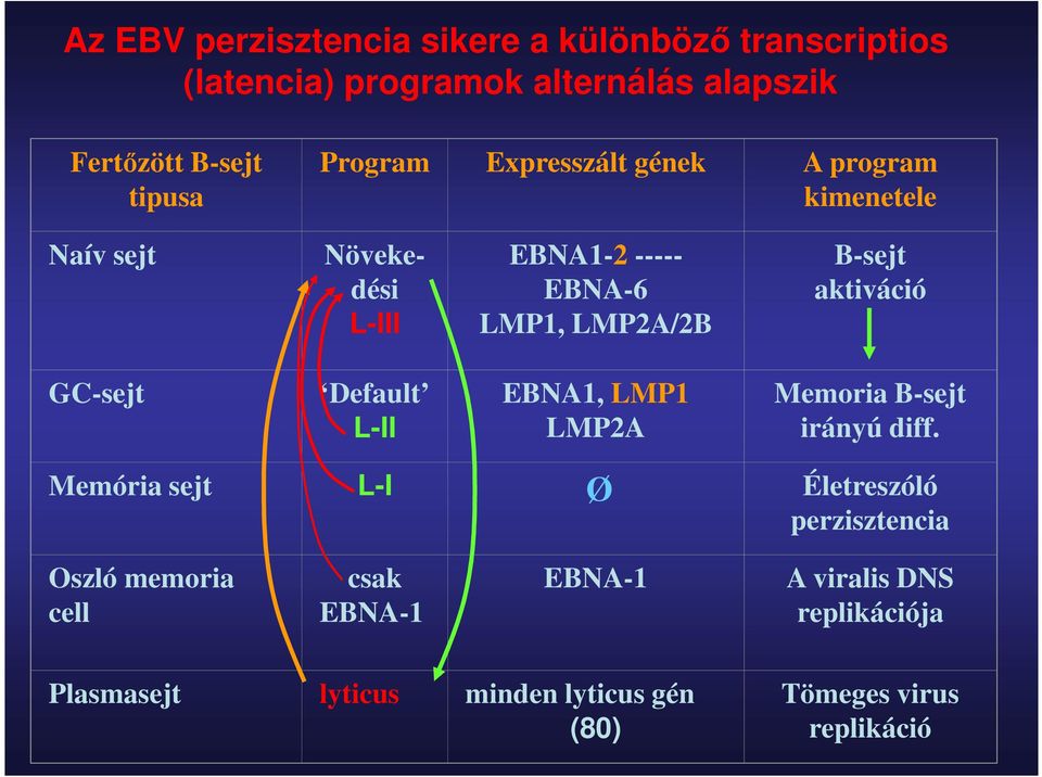 aktiváció GC-sejt Default L-II EBNA1, LMP1 LMP2A Memoria B-sejt irányú diff.