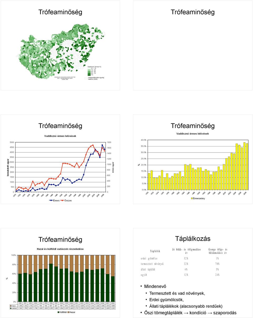 egyéb 12% 24% Mindenevő Termesztett és vad növények, Erdei gyümölcsök,