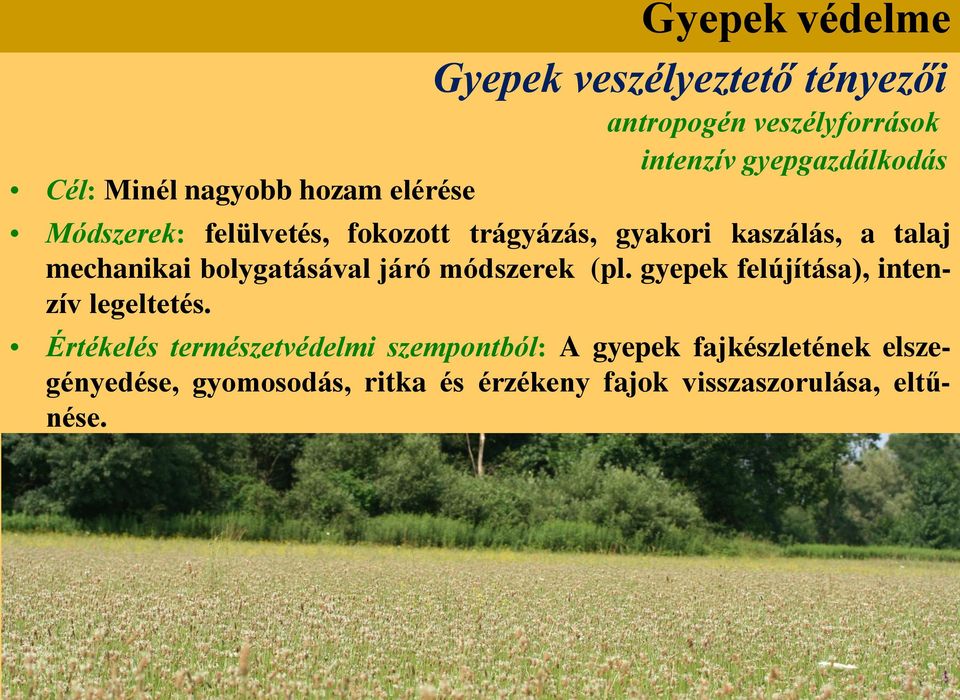 bolygatásával járó módszerek (pl. gyepek felújítása), intenzív legeltetés.