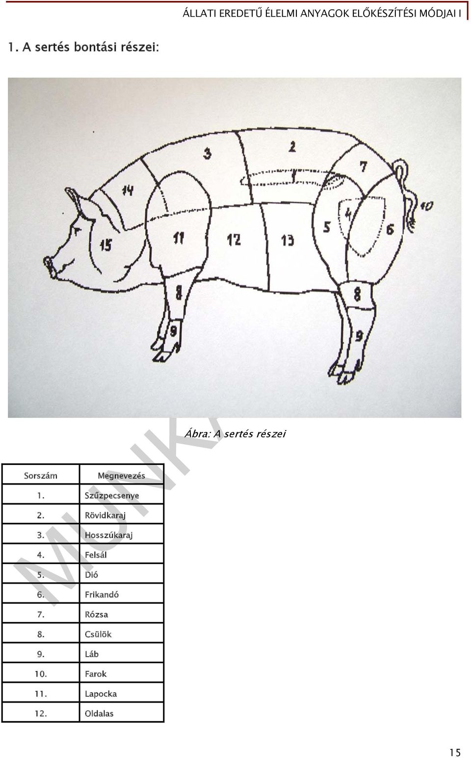 Felsál Ábra: A sertés részei 5. Dió 6. Frikandó 7.