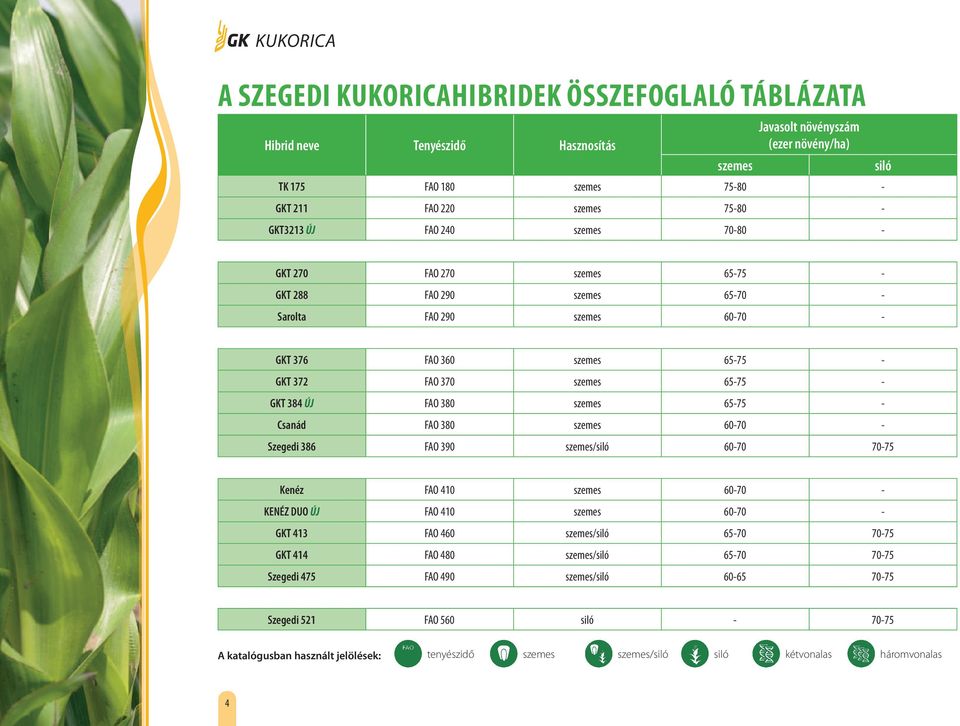 384 ÚJ FAO 380 szemes 65-75 - Csanád FAO 380 szemes 60-70 - Szegedi 386 FAO 390 szemes/siló 60-70 70-75 Kenéz FAO 410 szemes 60-70 - KENÉZ DUO ÚJ FAO 410 szemes 60-70 - GKT 413 FAO 460 szemes/siló