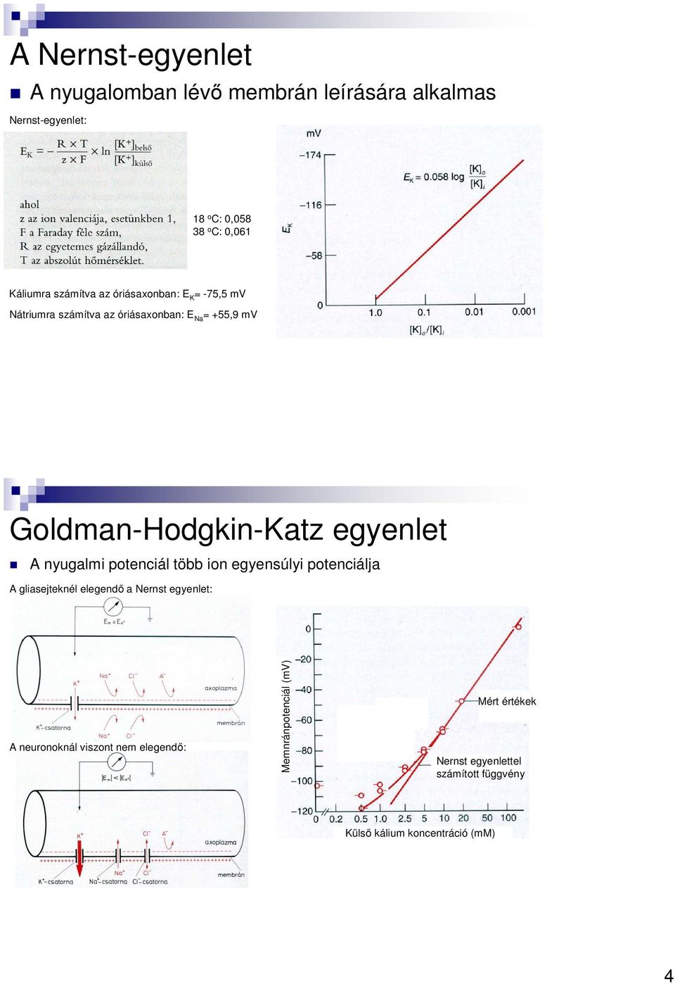 egyenlet A nyugalmi potenciál több ion egyensúlyi potenciálja A gliasejteknél elegendő a Nernst egyenlet: A neuronoknál