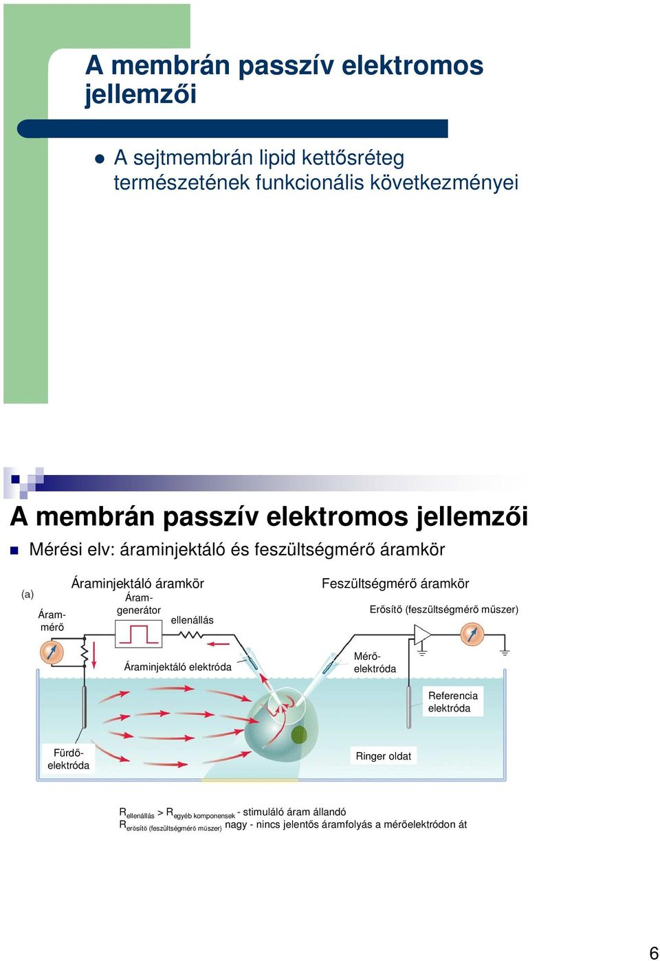 Feszültségmérő áramkör Erősítő (feszültségmérő műszer) Referencia elektróda Mérőelektróda Áramgenerátor Árammérő Fürdőelektróda Ringer