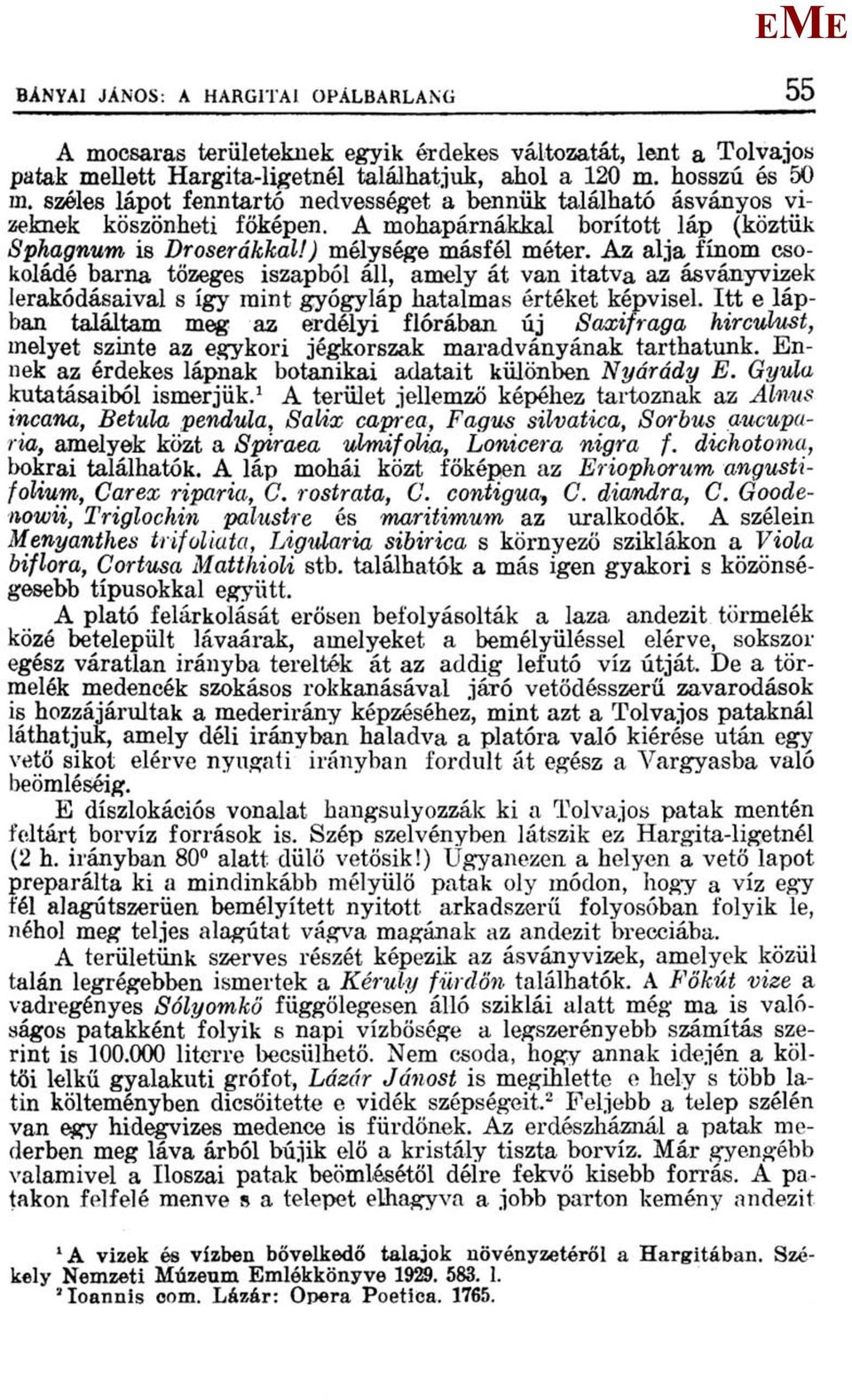 Az alja^ finom csokoládé barna tőzeges iszapból áll, amely át van itatva az ásványvizek lerakódásaival s így mint gyógyláp hatalmas értéket képvisel.