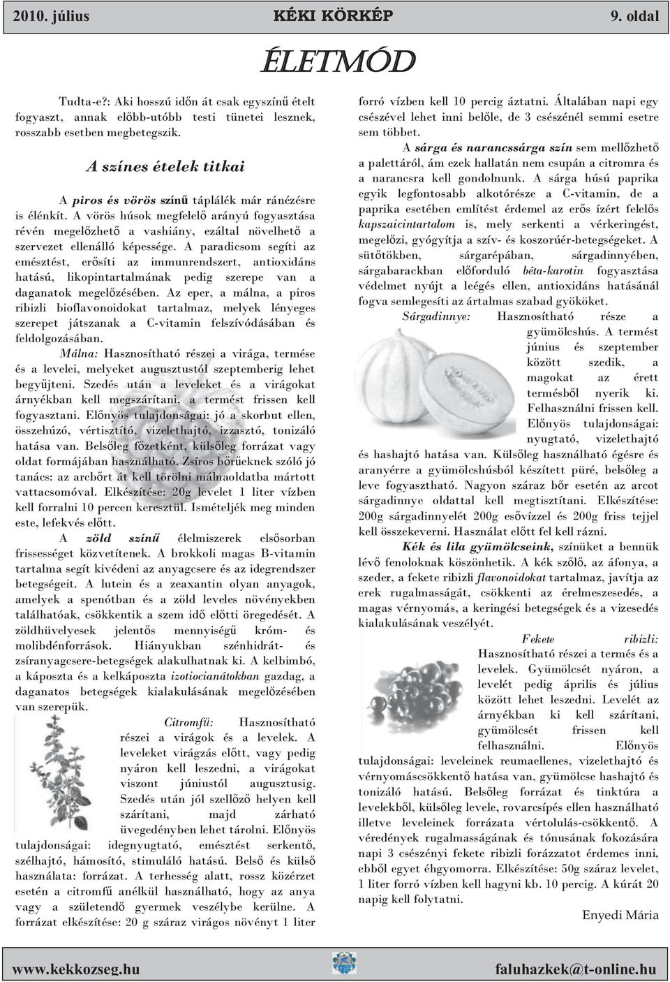 A paradicsom segíti az emésztést, er síti az immunrendszert, antioxidáns hatású, likopintartalmának pedig szerepe van a daganatok megel zésében.