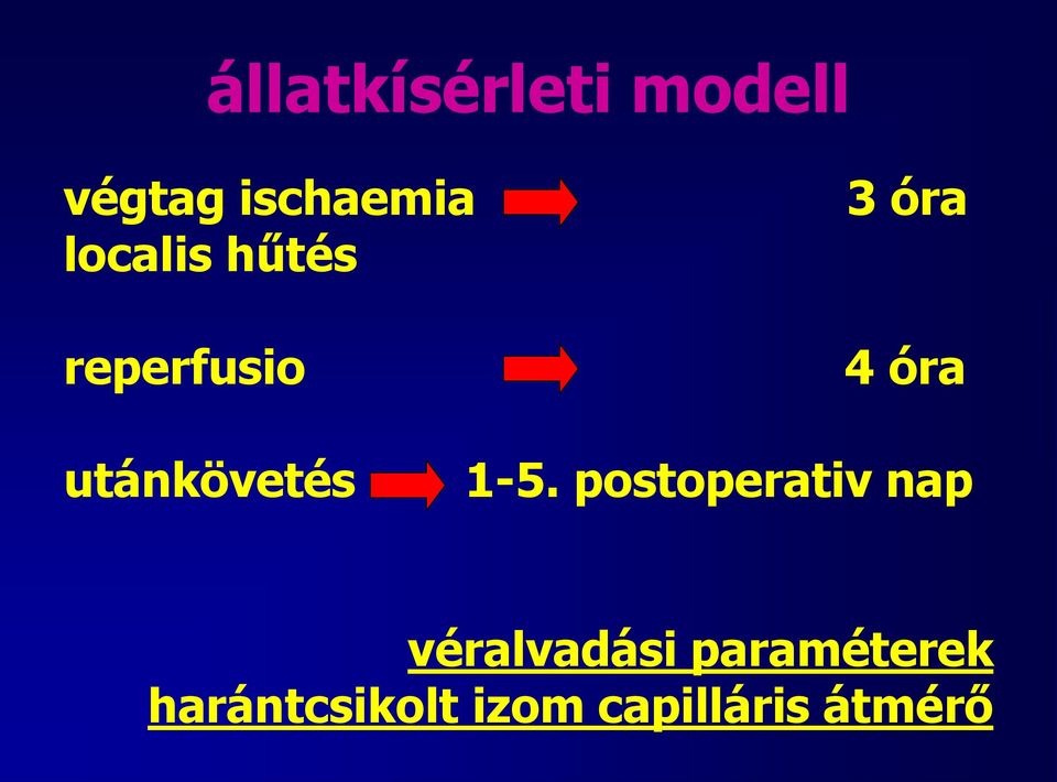 utánkövetés 1-5.