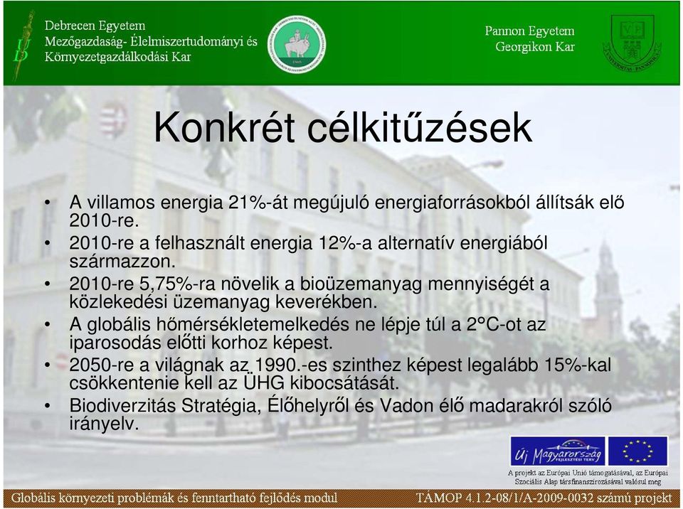 2010-re 5,75%-ra növelik a bioüzemanyag mennyiségét a közlekedési üzemanyag keverékben.