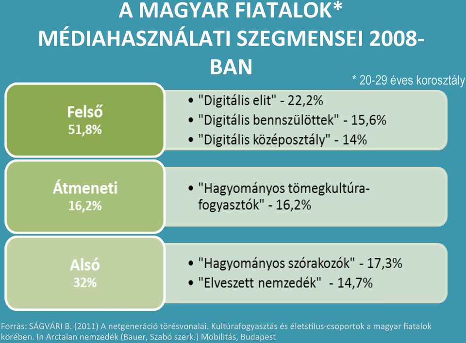 (2011) A netgeneráció törésvonalai.