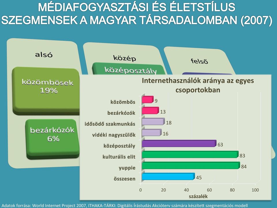 Project 2007, ITHAKA- TÁRKI: Digitális Írástudás