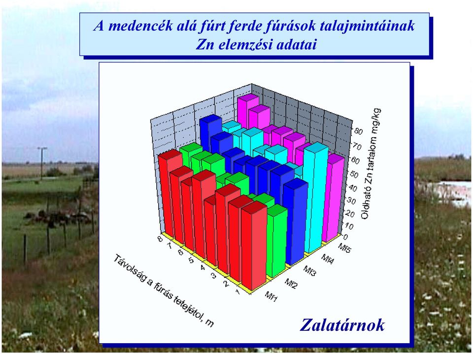 talajmintáinak Zn Zn