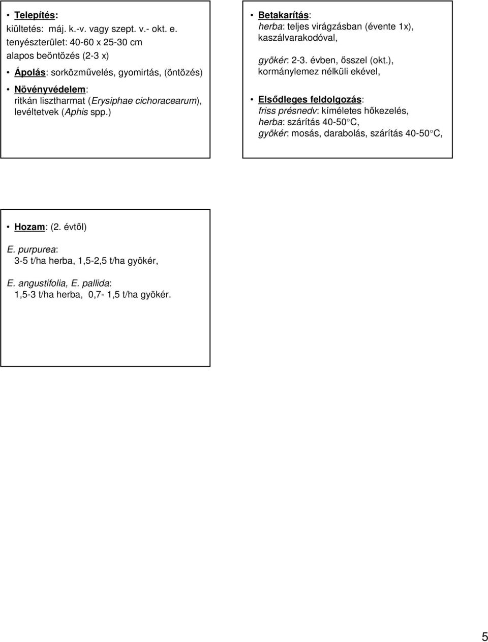 cichoracearum), levéltetvek (Aphis spp.) Betakarítás: herba: teljes virágzásban (évente 1x), kaszálvarakodóval, gyökér: 2-3. évben, ősszel (okt.