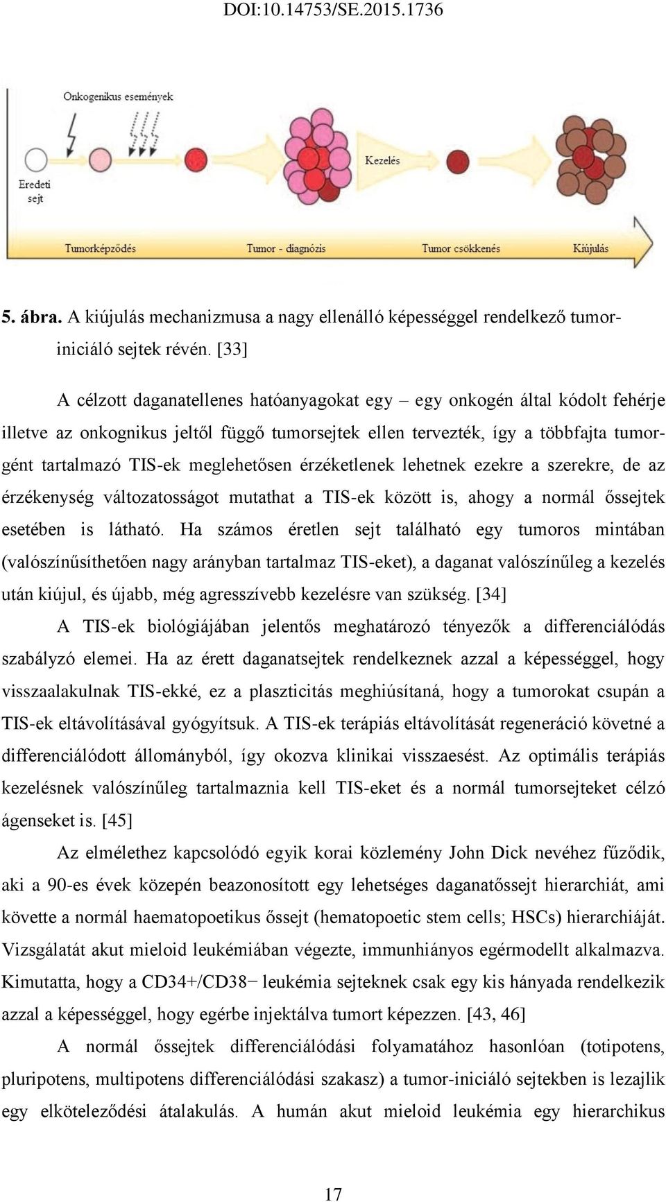 meglehetősen érzéketlenek lehetnek ezekre a szerekre, de az érzékenység változatosságot mutathat a TIS-ek között is, ahogy a normál őssejtek esetében is látható.