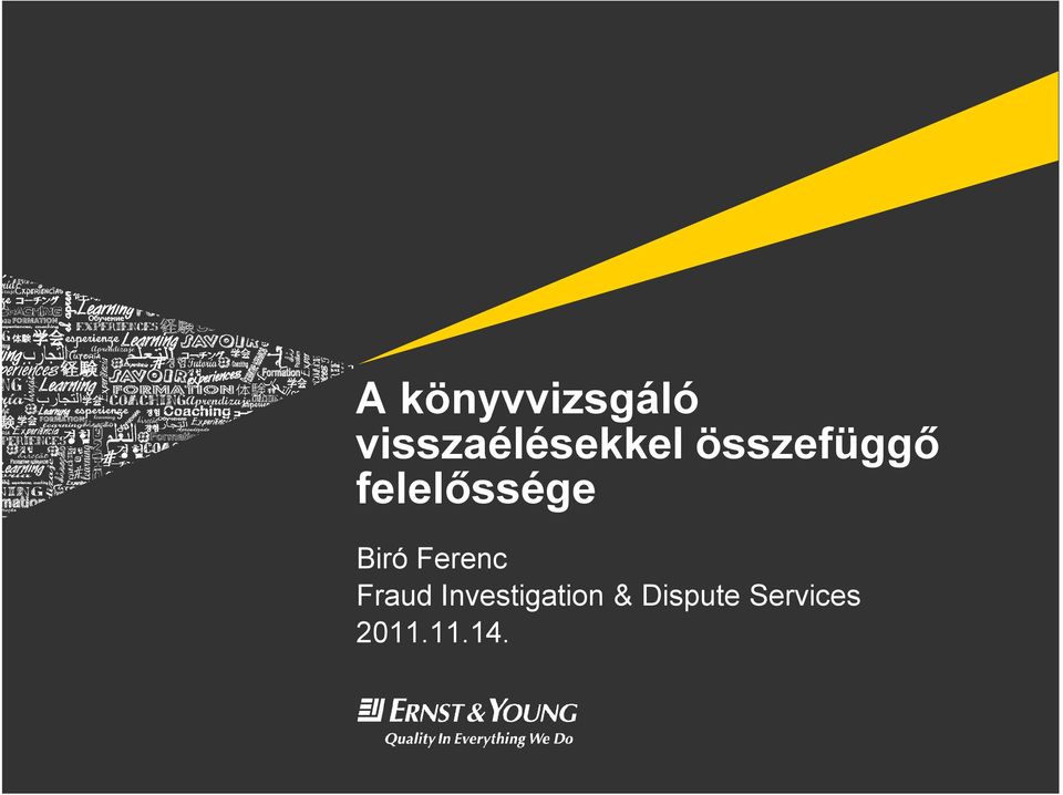 felelőssége Biró Ferenc Fraud