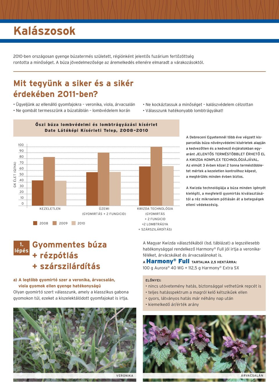 Ügyeljünk az ellenálló gyomfajokra veronika, viola, árvacsalán Ne gombát termesszünk a búzatáblán lombvédelem korán Ne kockáztassuk a minőséget kalászvédelem célzottan Válasszunk hatékonyabb