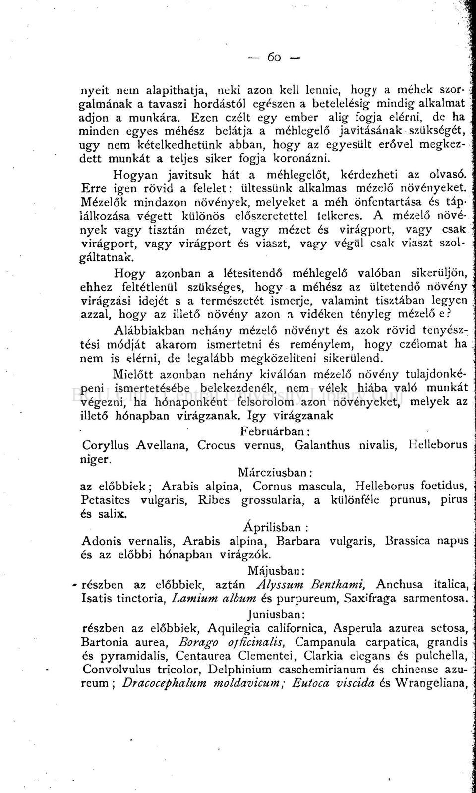 fogja koronázni. Hogyan javítsuk hát a méhlegelőt, kérdezheti az olvasó. Erre igen rövid a felelet: ültessünk alkalmas mézelő növényeket.