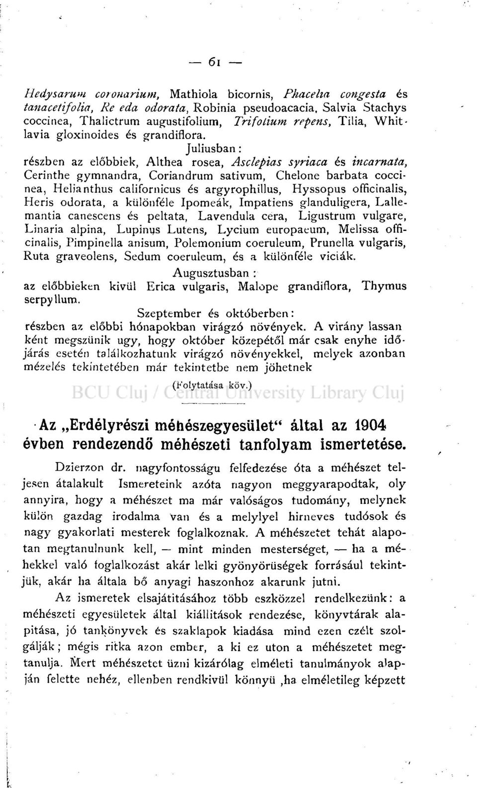 Júliusban: részben az előbbiek, Althea rosea, Asclepias syriaca és incarnata, Cerinthe gymnandra, Coriandrum sativum, Chelone barbata coccinea, Helianthus californicus és argyrophillus, Hyssopus