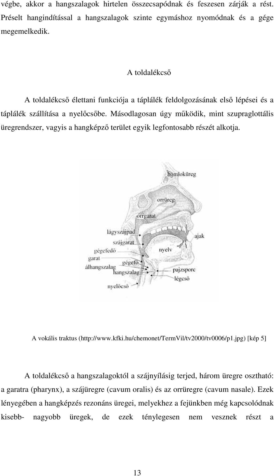 Másodlagosan úgy működik, mint szupraglottális üregrendszer, vagyis a hangképző terület egyik legfontosabb részét alkotja. A vokális traktus (http://www.kfki.hu/chemonet/termvil/tv2000/tv0006/p1.